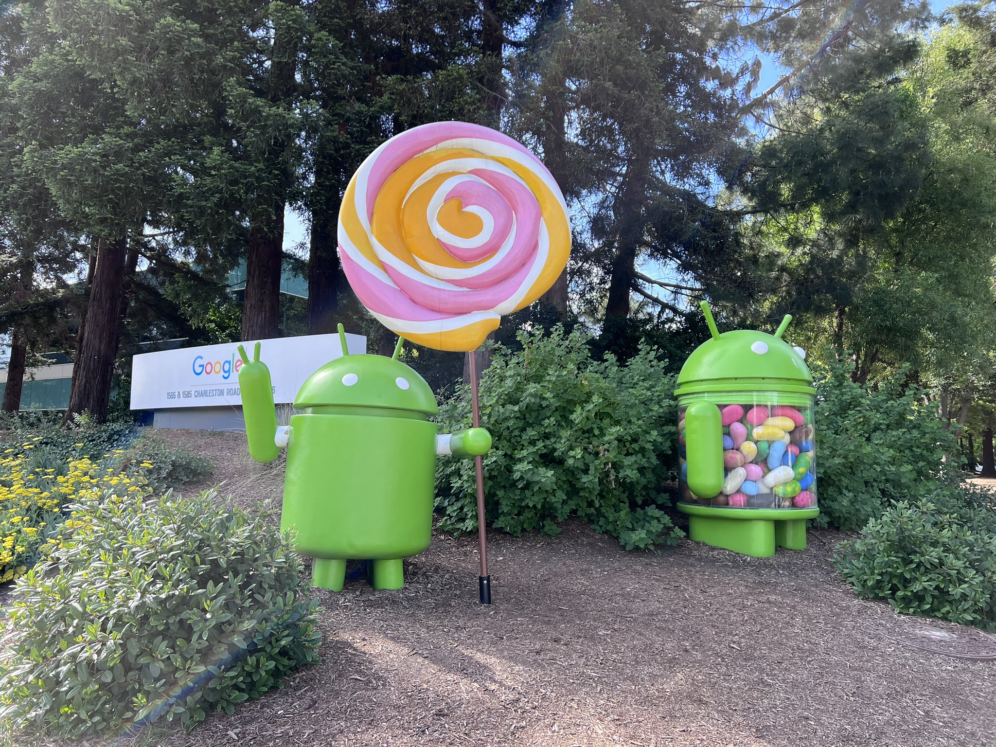 Google Summer 2024