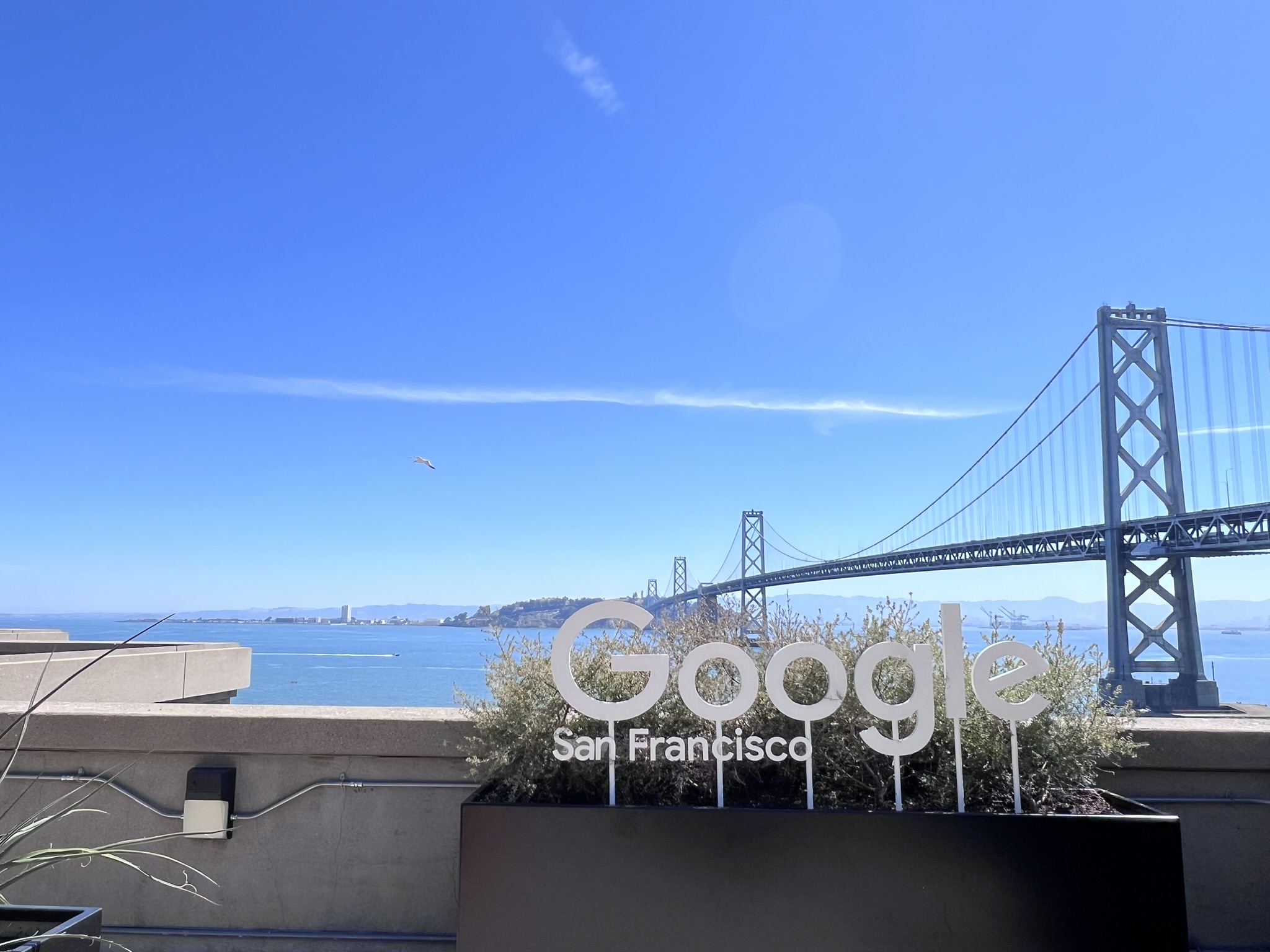 Google Summer 2024